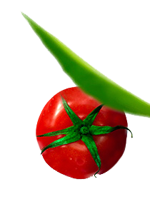 Pide Deryası Pide Deryası